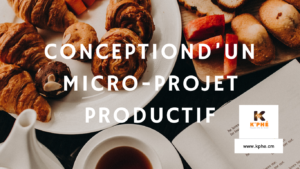 Lire la suite à propos de l’article micro-projet productif: la conception